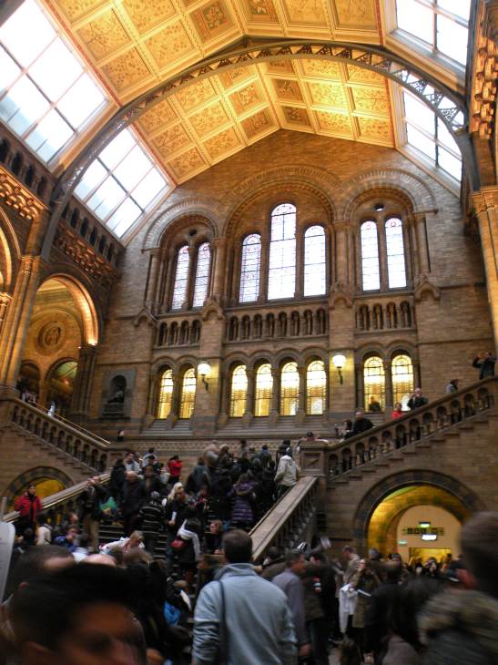  escalier dans le Hall central du museum 